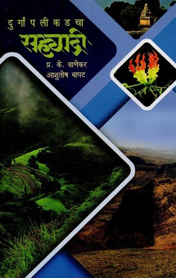 सह्याद्री: दुर्गा पालिकडचा
