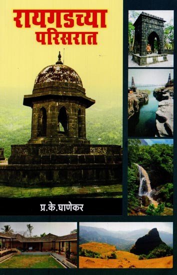 रायगडच्या परिसरात