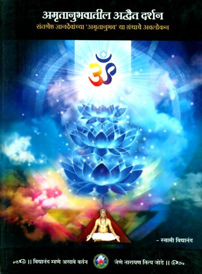 अमृतानुभवतिल अद्वैत दर्शन