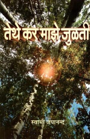 तेथे कर माझे जुळती झुलती - एका संन्याशाला आलेले मानवतेचे अनुभव