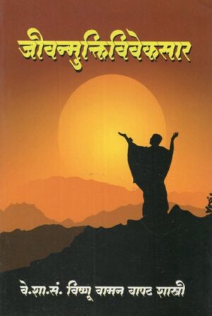 जीवन्मुक्तिविवेकसार