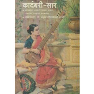 कादंबरी-सार